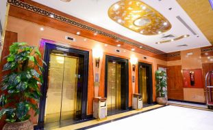 Mufitcollection galeri görselleri